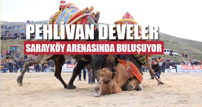 Pehlivan Develer Sarayköy Arenasında Buluşuyor