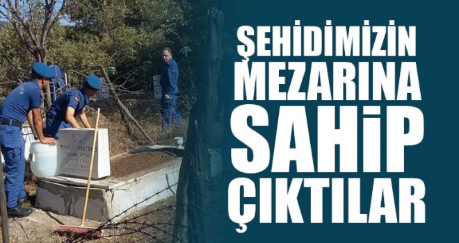 Jandarma Ve Büyükşehir Ekipleri Şehidin Mezarına Sahip Çıktı