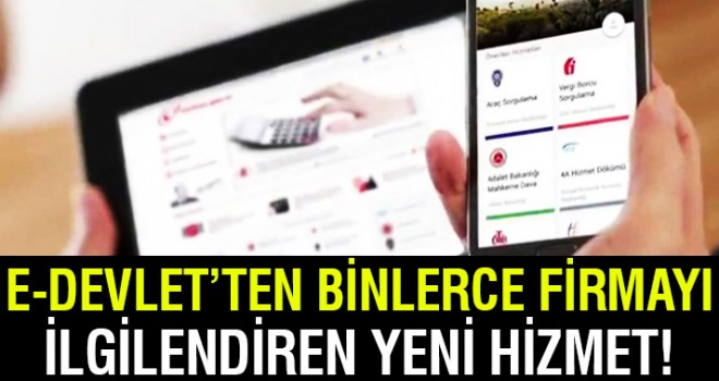 E-devlet'ten binlerce firmayı ilgilendiren yeni hizmet