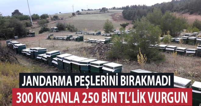 300 kovanla 250 bin liralık vurgun