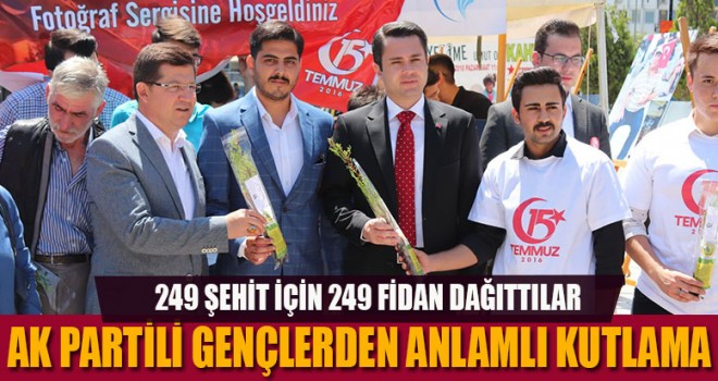 249 ŞEHİT 249 FİDAN