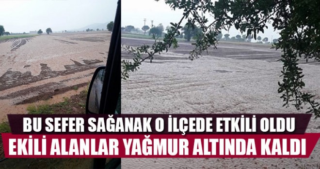 Ekili Alanlar Yağmur Altında Kaldı