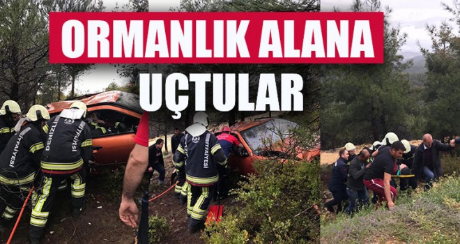 Ormanlık Alana Uçtular