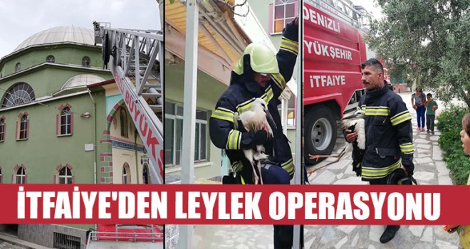 İtfaiye'den Leylek Operasyonu