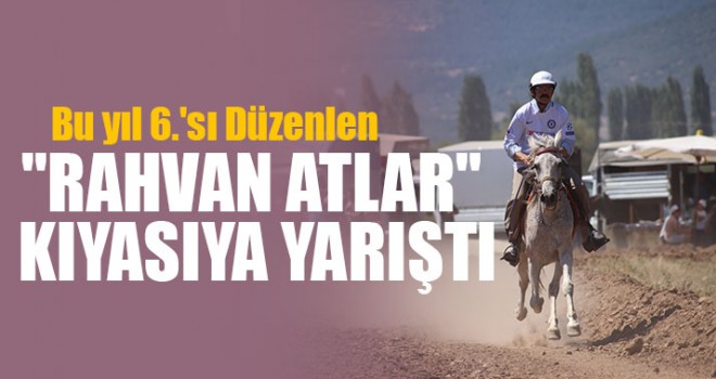 "Rahvan Atlar" Kıyasıya Yarıştı