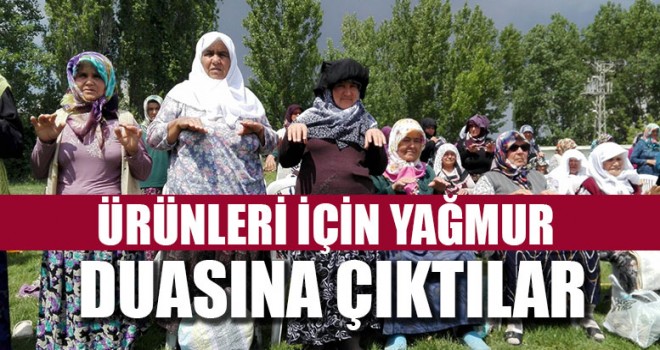Ürünleri İçin Yağmur Duasına Çıktılar