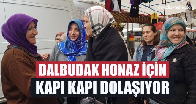 Dalbudak Honaz İçin Kapı Kapı Dolaşıyor