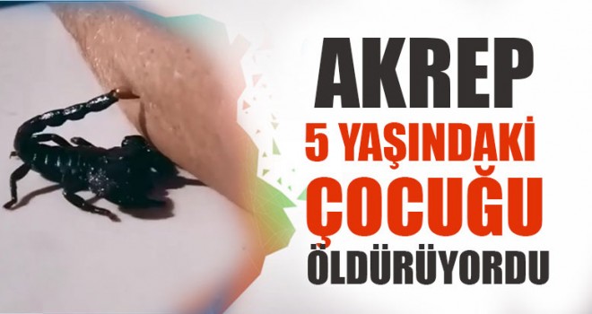 Akrep 5 Yaşındaki Çocuğu Öldürüyordu