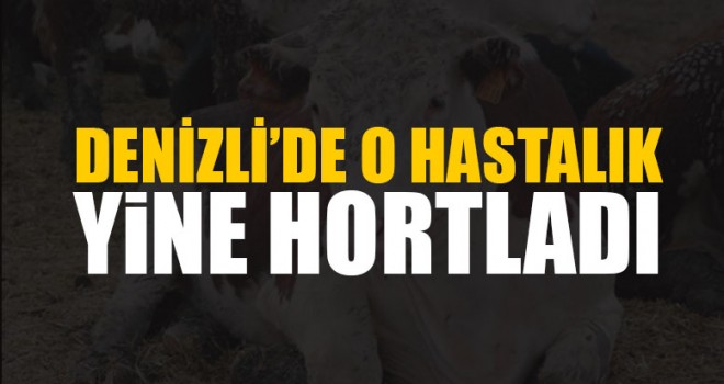 Denizli’de O Hastalık Yine Hortladı