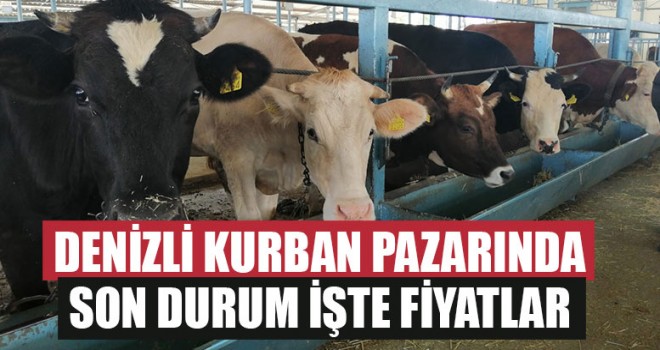 Denizli Kurban Pazarında Son Durum İşte Fiyatlar