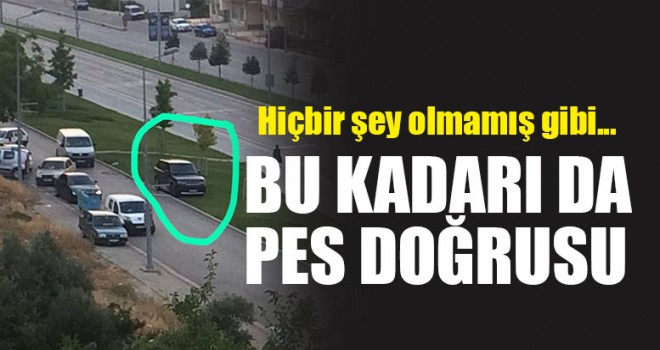 Bu Kadarı Da Pes Doğrusu