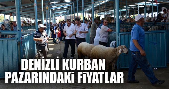 Denizli Kurban Pazarındaki Fiyatlar