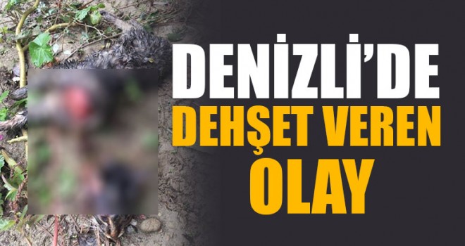 Denizli’de Dehşet Veren Olay