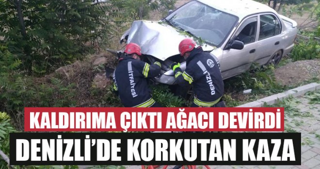 Denizli’de Korkutan Kaza Kaldırıma Çıktı Ağacı Devirdi