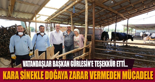 KARA SİNEKLE İPLİ MÜCADELE