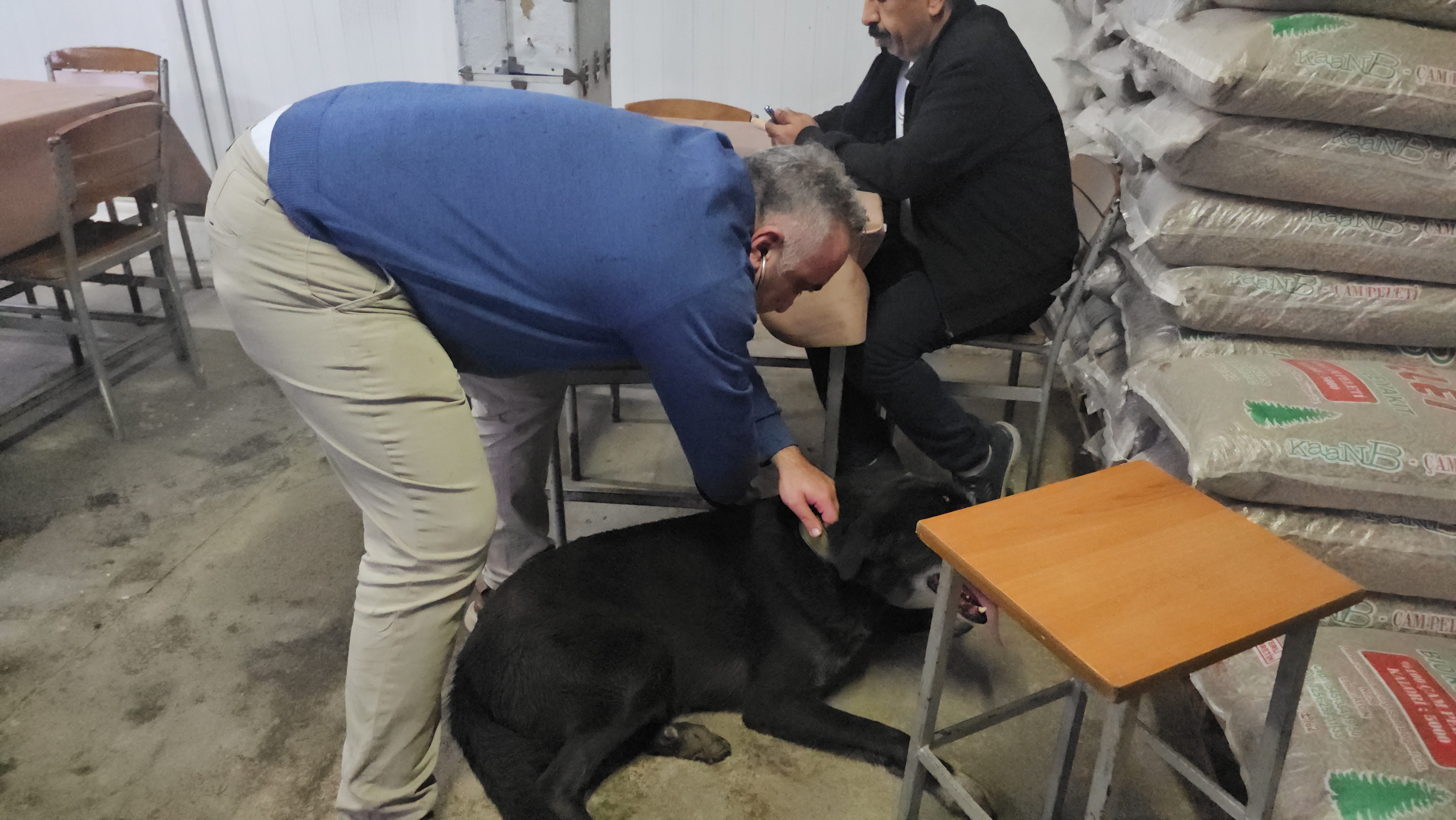 Aydın Nazilli’de Veteriner Kliniğinde Yangın