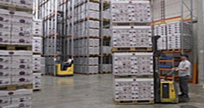 Ege Bölgesinde Uygun Fiyatlara İstifleme Makinası Satışı