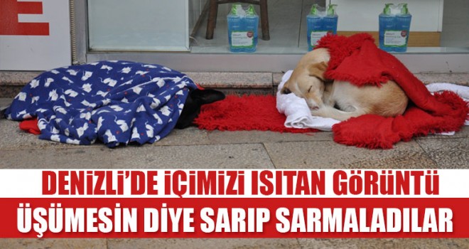 Denizli'de içimizi ısıtan görüntü