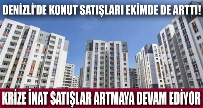Denizli'de konut satışları Ekim'de de arttı