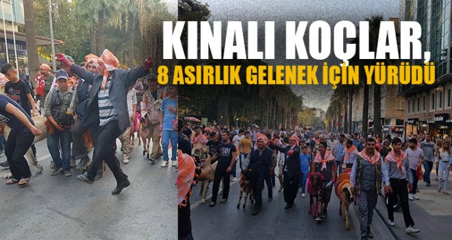 Kınalı Koçlar, 8 Asırlık Gelenek İçin Yürüdü
