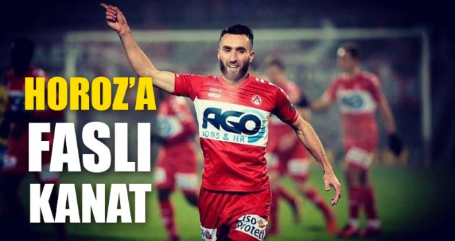 Horoz’a Faslı Kanat