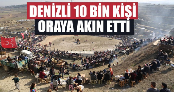 35. Geleneksel Sarayköy Deve Güreşleri Festivali