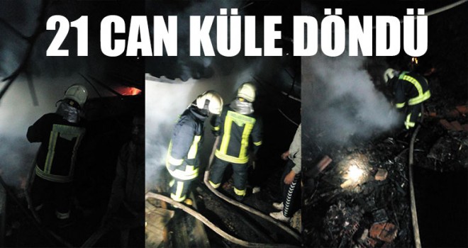 21 Can Küle Döndü