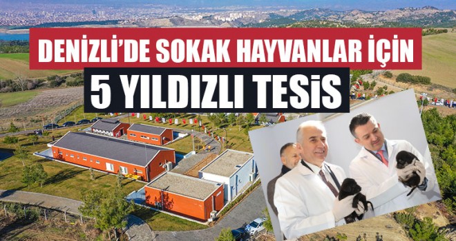 Denizli’de Sokak Hayvanlar İçin 5 Yıldızlı Tesis Açıldı