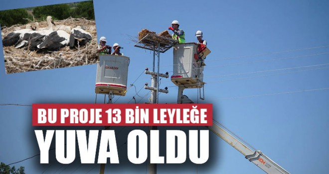 Bu Proje 13 Bin Leyleğe Yuva Oldu