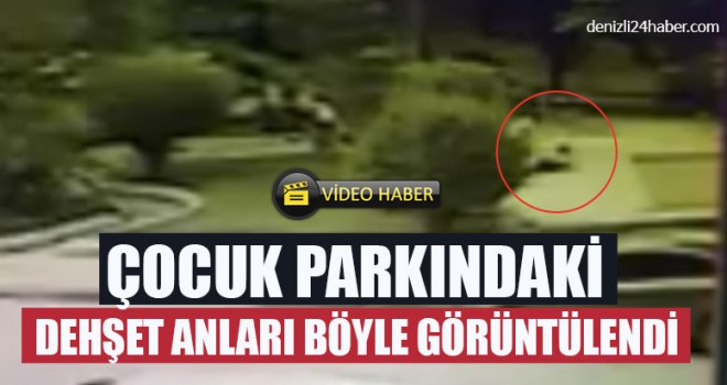 Çocuk Parkındaki Dehşet Anları Böyle Görüntülendi