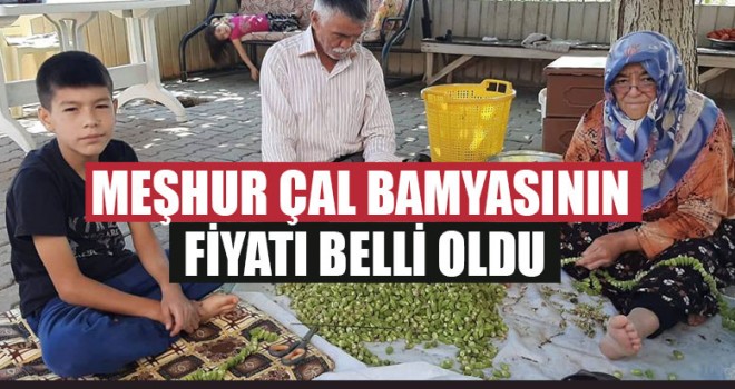 Meşhur Çal Bamyasının Fiyatı Belli Oldu