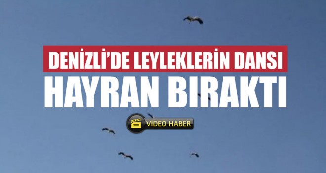 Denizli’de Leyleklerin Dansı Hayran Bıraktı