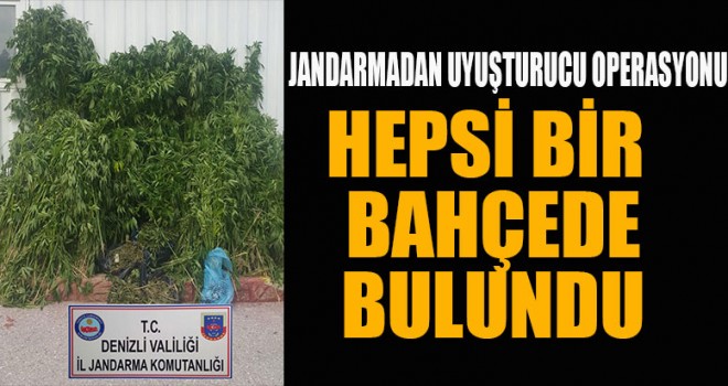 Denizli'de uyuşturucu operasyonu