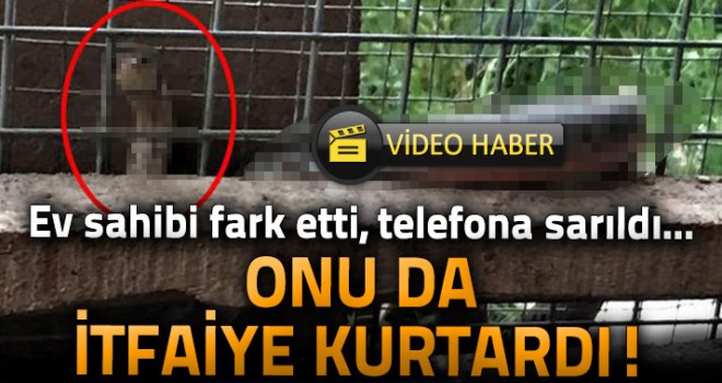 Ev Sahibi Fark Etti Telefona Sarıldı
