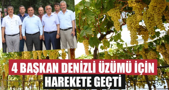 4 Başkan Denizli Üzümü İçin Harekete Geçti