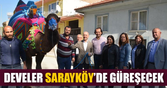 Develer Sarayköy’de Güreşecek