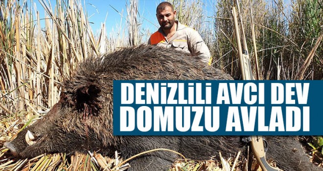 Denizlili Avcı Dev Domuzu Avladı