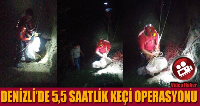 Denizli'de keçi operasyonu