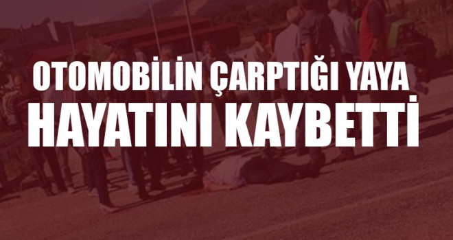 Otomobilin Çarptığı Yaya Hayatını Kaybetti