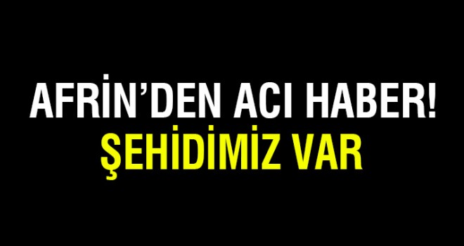 Afrin'den acı haber: Bir asker şehit