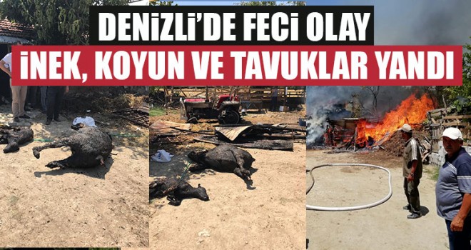 Pamukkale Karakurt Mahallesi'nde ahır yangını