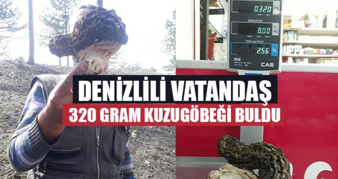 Denizlili Vatandaş 320 Gram Kuzugöbeği buldu