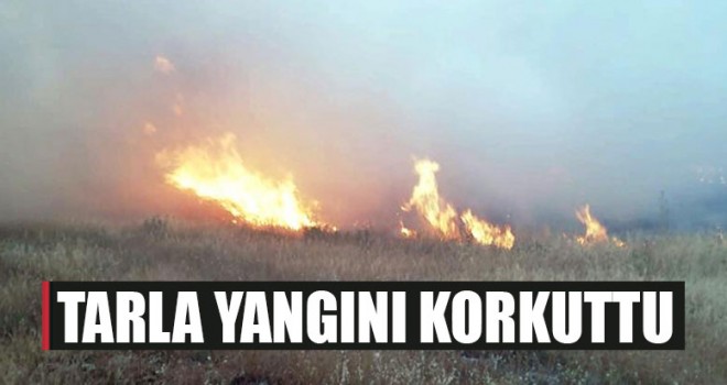Tarla Yangını Korkuttu