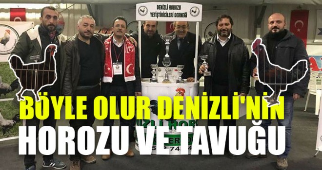 Böyle Olur Denizli'nin Horozu Ve Tavuğu
