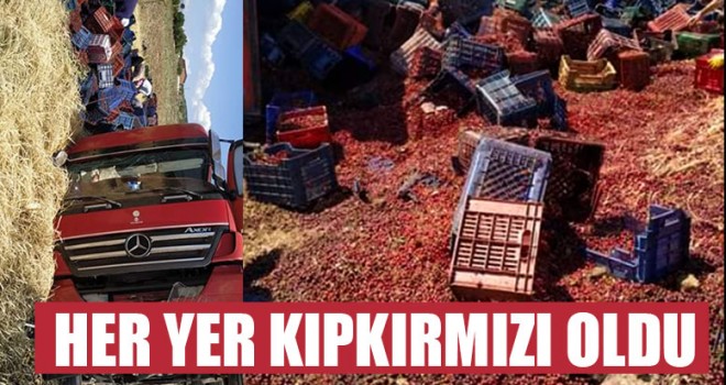 Her Yer Kıpkırmızı Oldu
