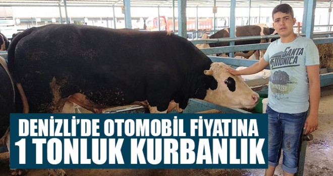 Denizli’de Otomobil Fiyatına 1 Tonluk Kurbanlık