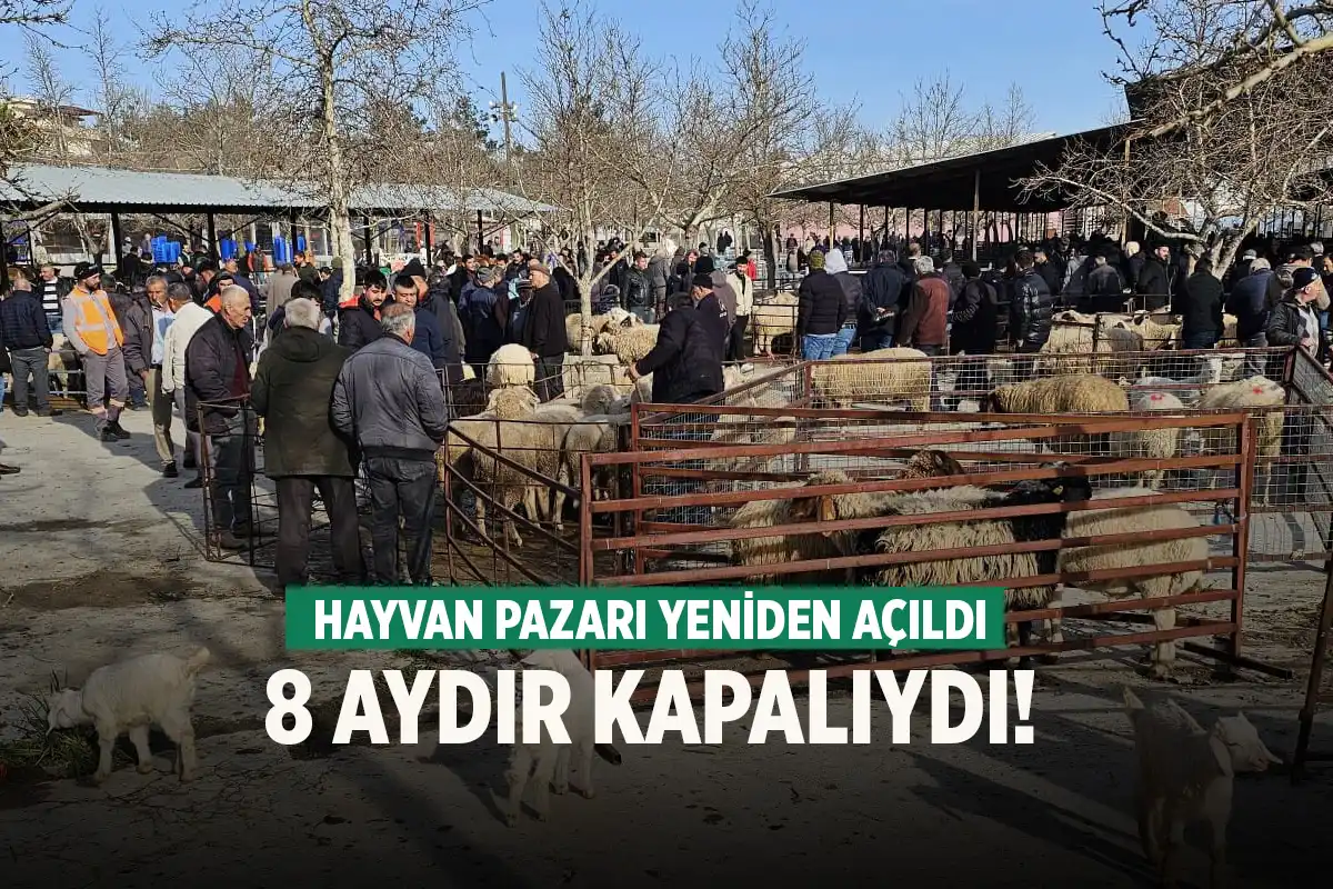 Denizli'de 8 aydır kapalı olan hayvan pazarı yeniden açıldı