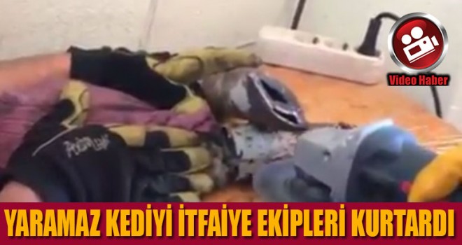Denizli itfaiyesinden kedi operasyonu