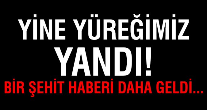Hakkari'den acı haber: 1 şehit