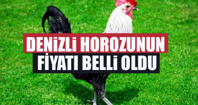 Denizli Horozunun Fiyatı Belli Oldu